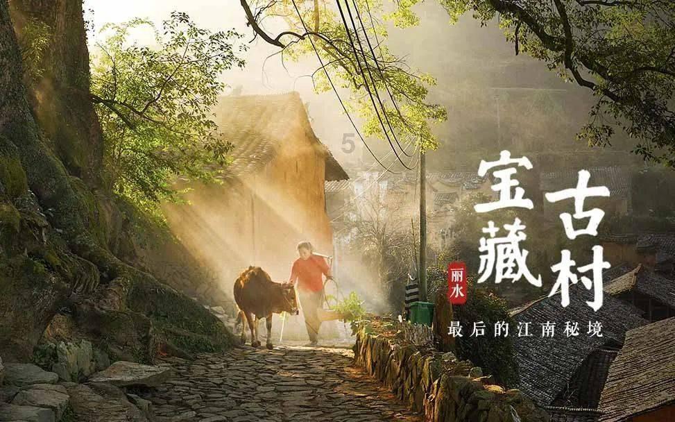 焦作市聚焦“四大重点” 抓实“五个专项”